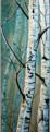 Birken, 1994, 67x167cm, 1994, Mischtechnik auf Packpapier