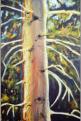 Fichte,1995, 80x122cm, Mischtechnik auf Packpapier