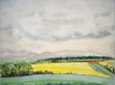 Raps an den Ederhhen III, 2000, 64x50 cm, Aquarell / Farbstifte