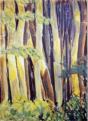 Buchenwald I, 1993, 80x122cm, Mischtechnik auf Packpapier