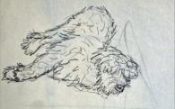 Ike, 1983, 32x20cm, Bleistift